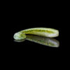 KINGSHAD 5 LAMINATED KS5-L061-B (3 szt.) - obrazek 2