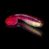 KINGSHAD 5 LAMINATED KS5-L123-B (3 szt.) - obrazek 2