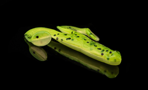Turbo Frog