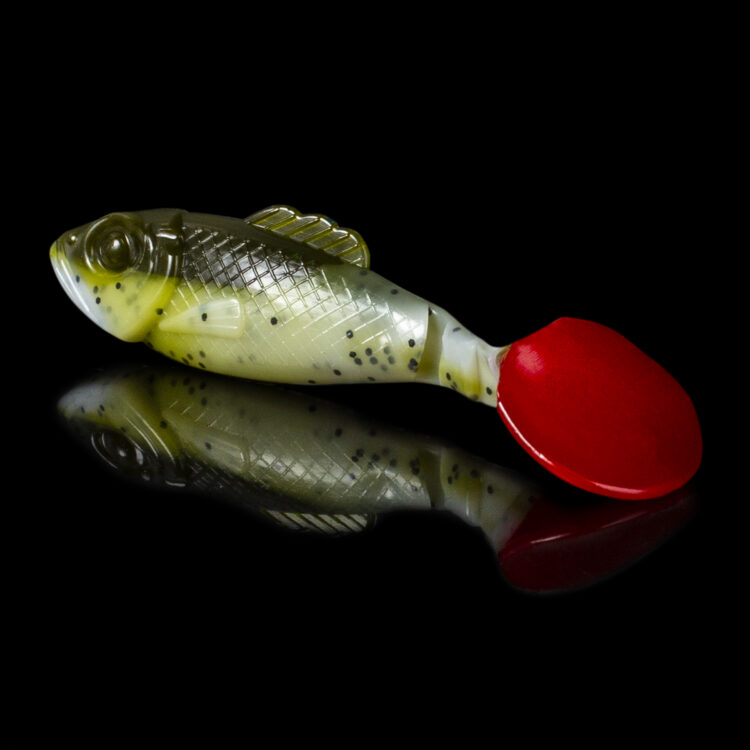 SUPERFISH SHAD 4 TRICOLOR SRS4-TC395-B (4 szt.) - obrazek 3