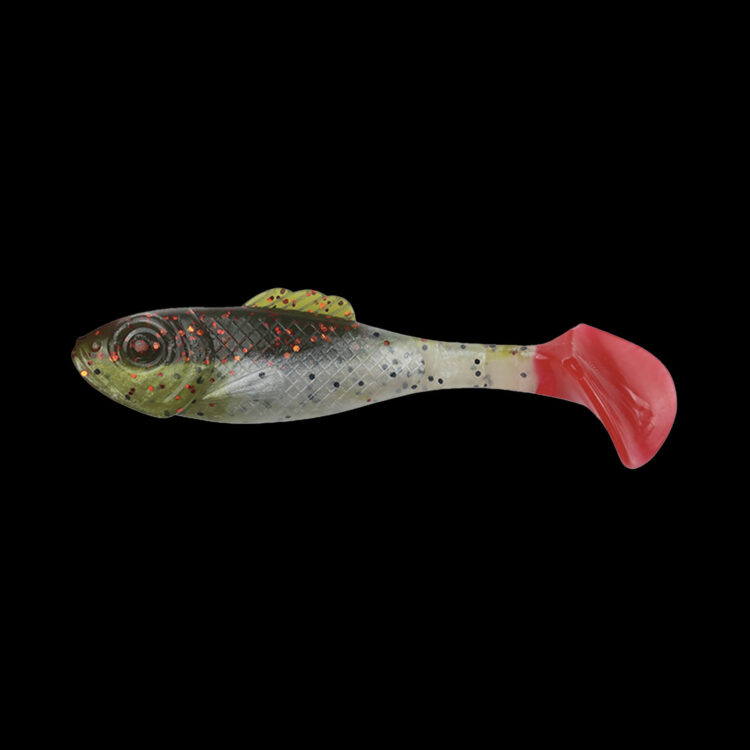 SUPERFISH SHAD 4 TRICOLOR SRS4-TC456-B (4 szt.)