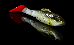 Superfish Shad
