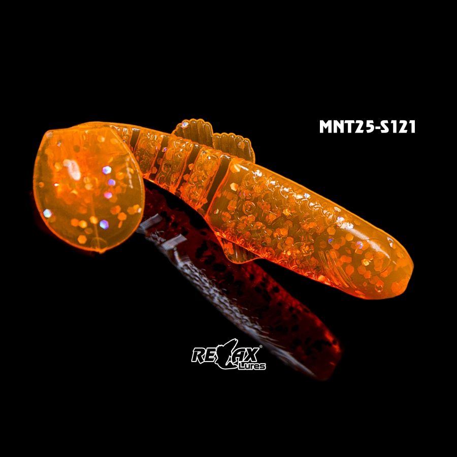 MNT25-S121