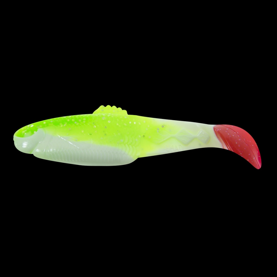 DS5-TC039