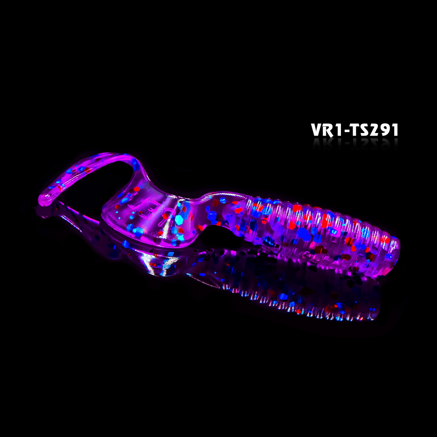 VR1-TS291 copy